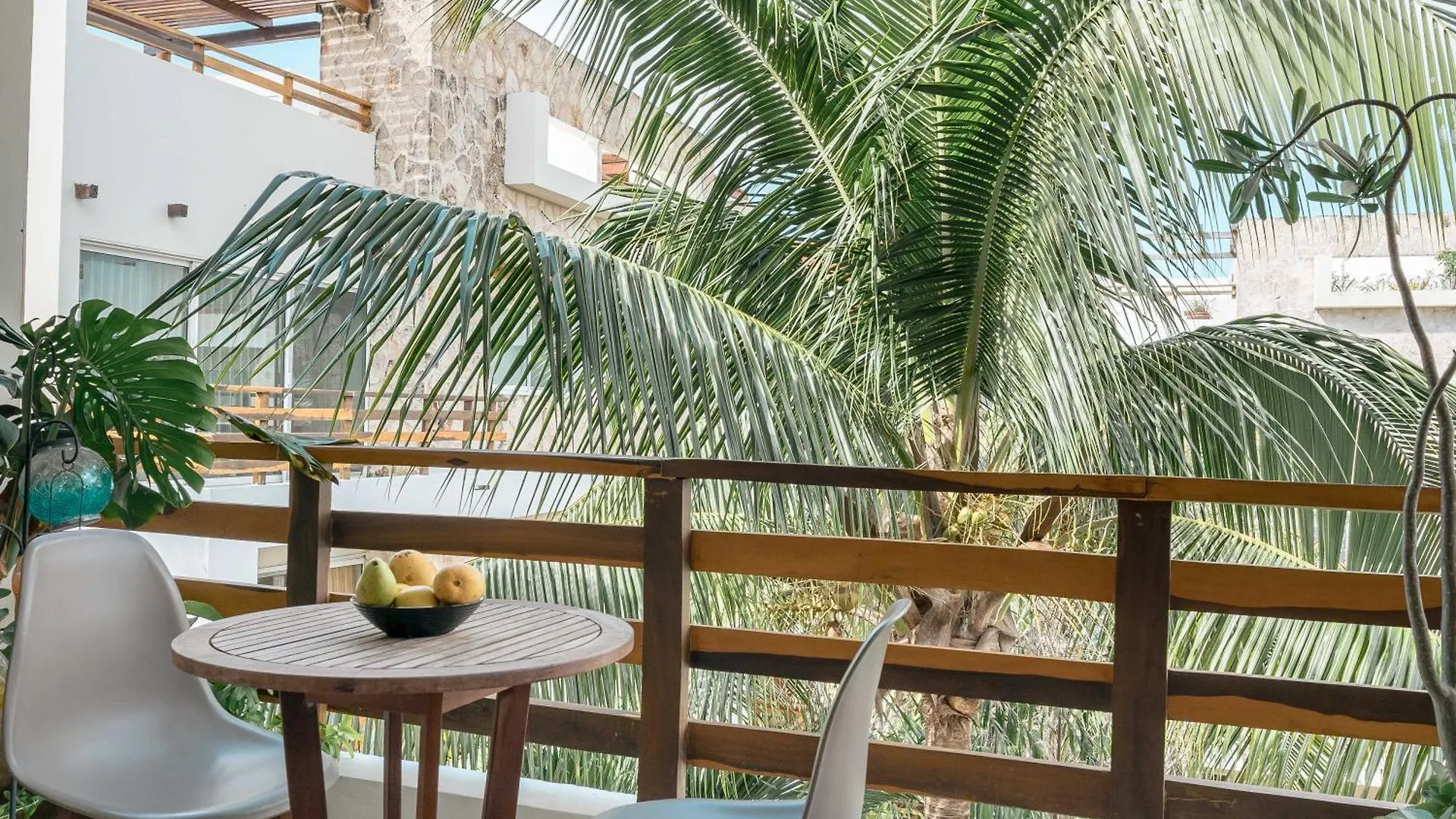 Penthouse With Rooftop And Jacuzzi In Downtown Playa del Carmen Apartment